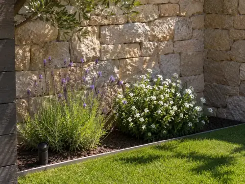 Jardí de baix manteniment a Mirasol, Sant Cugat del Vallès — espècies autòctones i estalvi hídric
