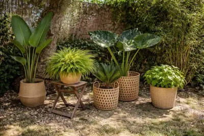 Manteniment ecològic de jardí amb compost i plantes autòctones